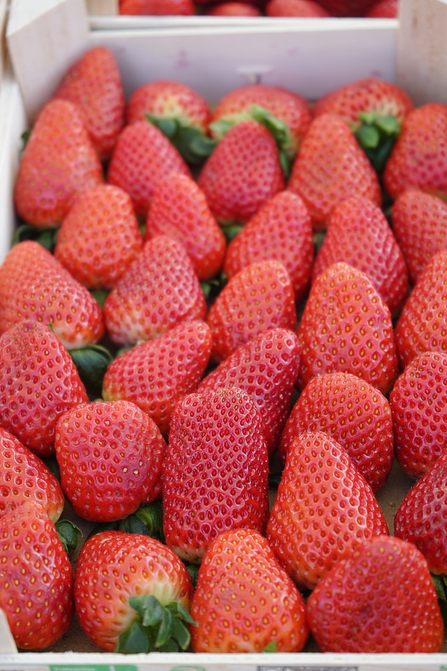 Delicious berries food