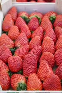 Delicious berries food