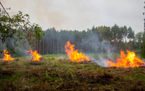 Fire large great