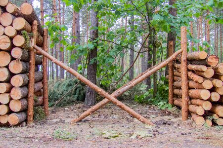 Supported pine cut