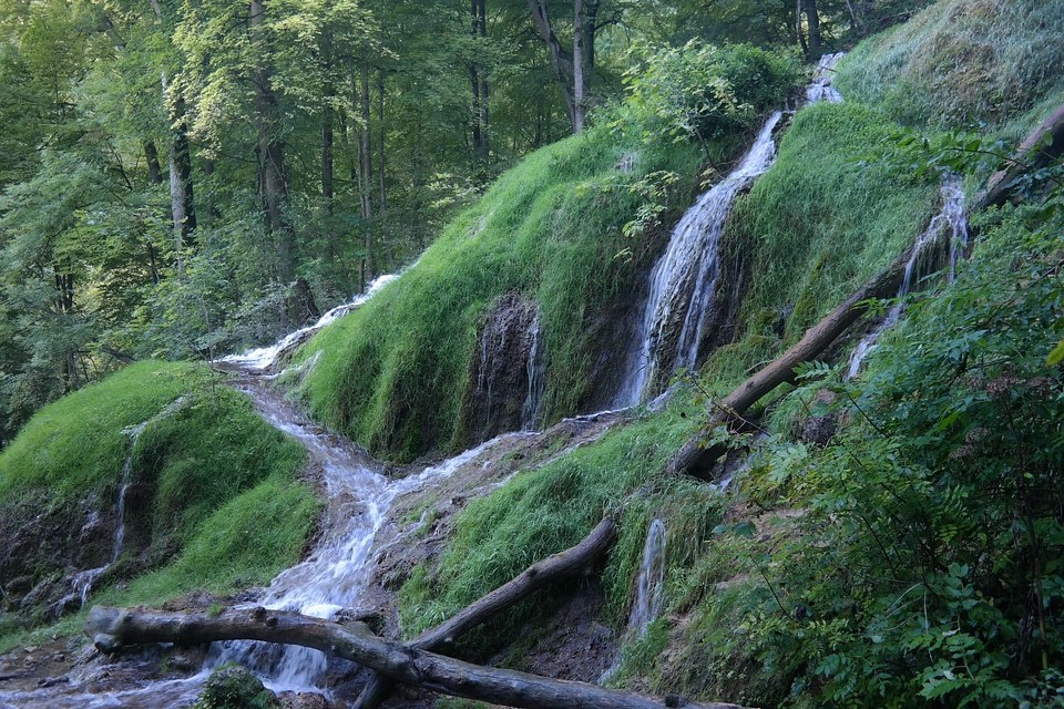 Idyllic green haunting