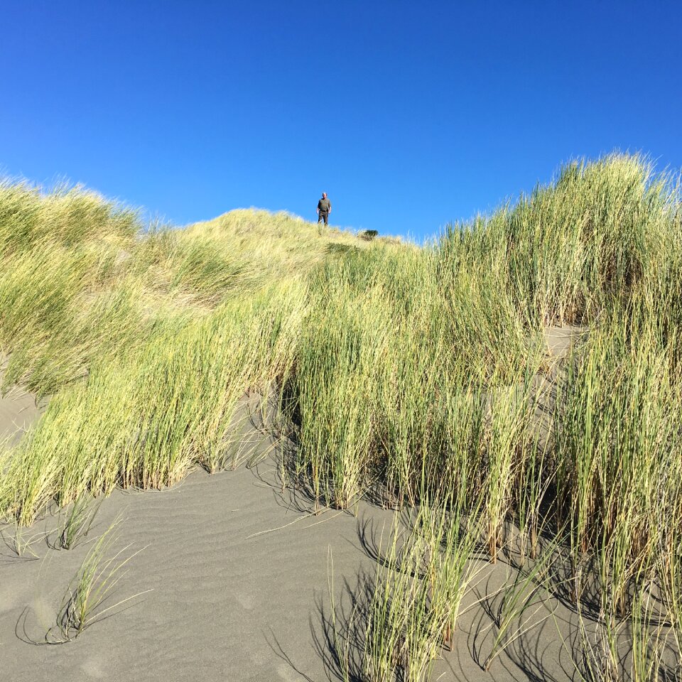 Sea sand nature