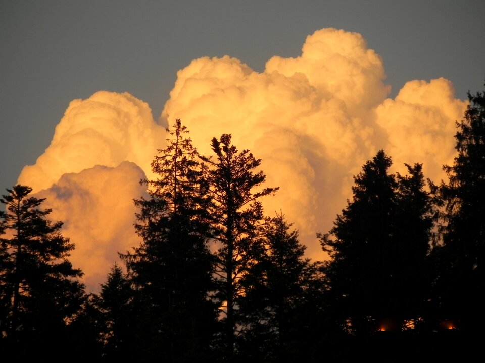 In the evening sunlight