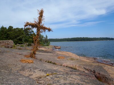 Coast landscape sea photo