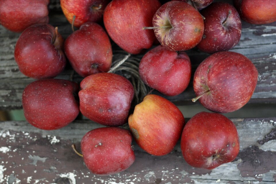 Healthy red organic