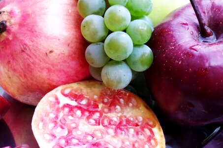 Pomegranate honey the feast of the