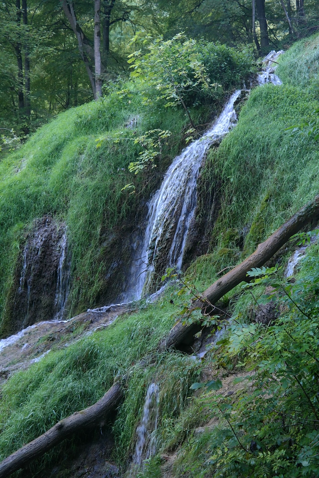 Idyllic green haunting