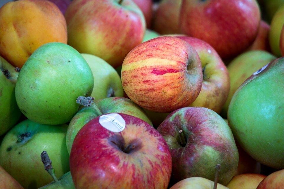 Harvest fruits autumn