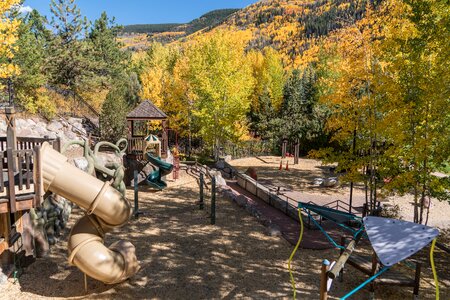 Playground foliage trees photo