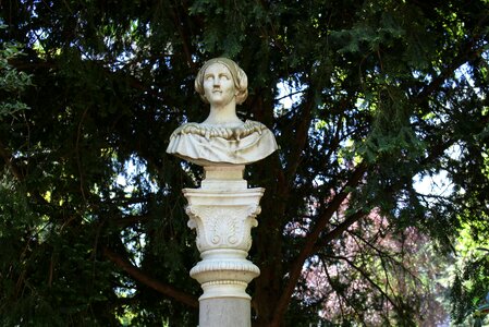 Sculpture art bust