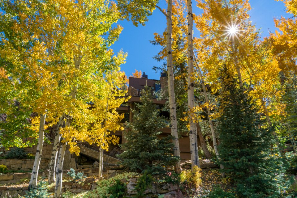 Nature usa travel