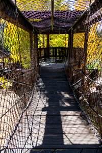 Suspended bridge foliage trees photo