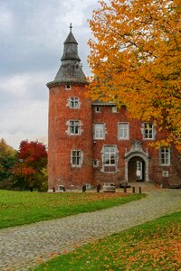 Castle path tree