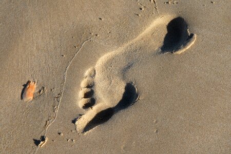 Footprint tracks in the sand sand photo