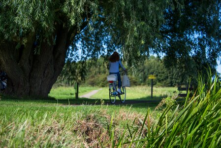 Green bike cycling