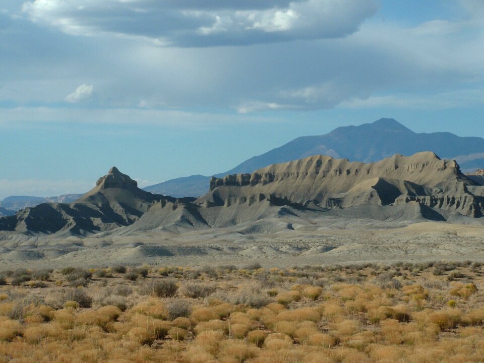 Desert landscape