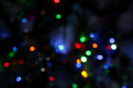 Lights christmas tree swag photo