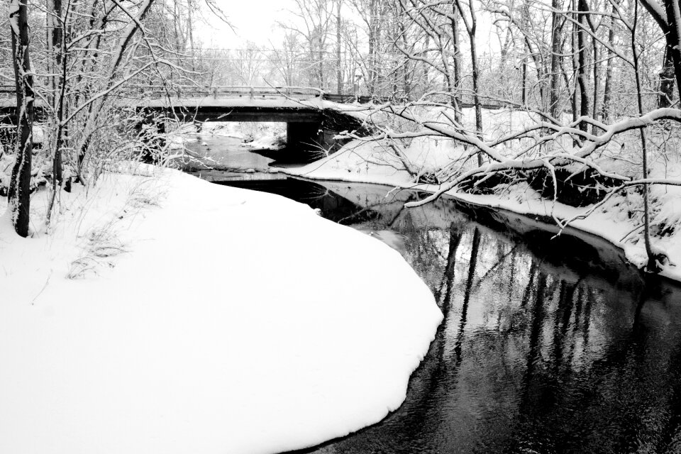 Snow black and white landscape