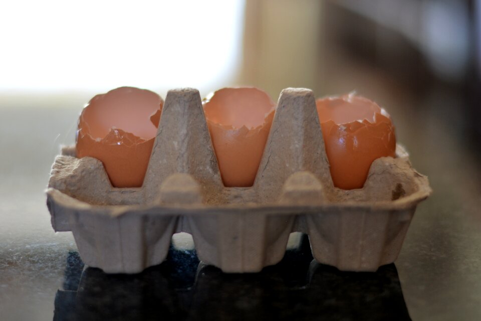 Empty containers eggs