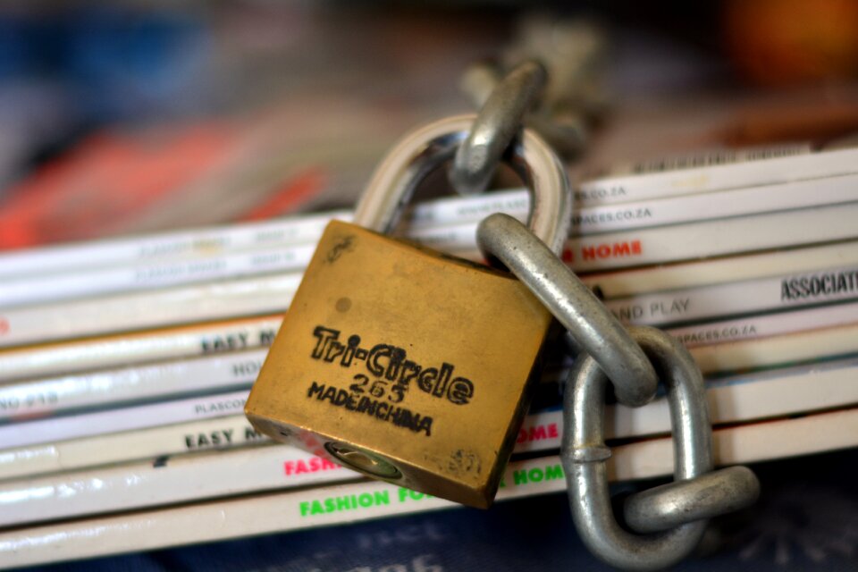 Lock and chain brown security