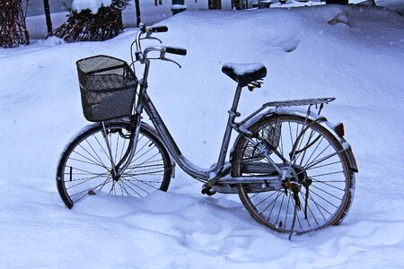 Park morning snow-caped