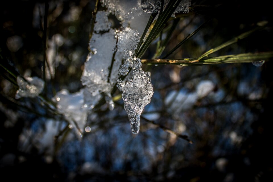 Cold water transparent