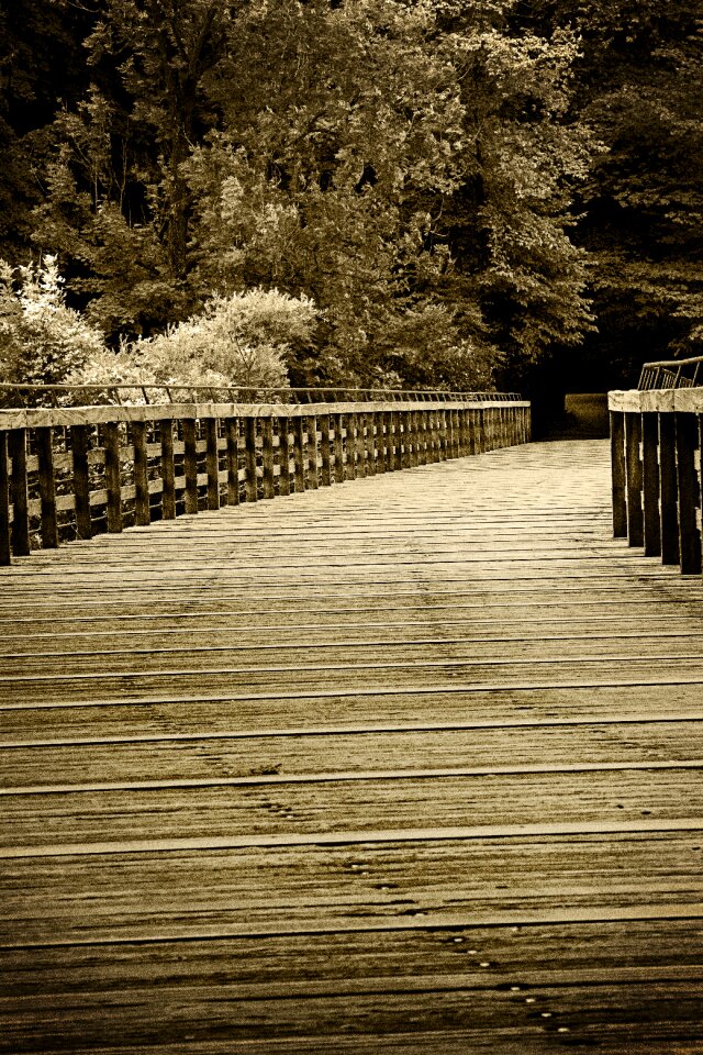 Sepia wood railing