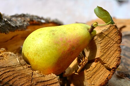Pear green pear pear and wood