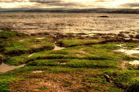 Coast sea bay