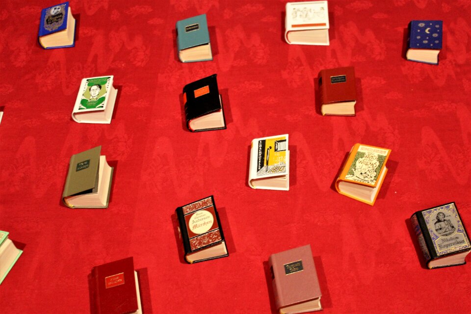 Bookshop red book red books