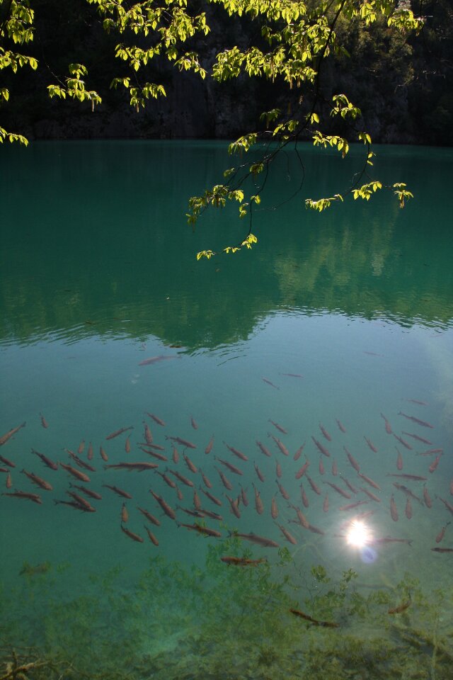 Water nature reserve croatia