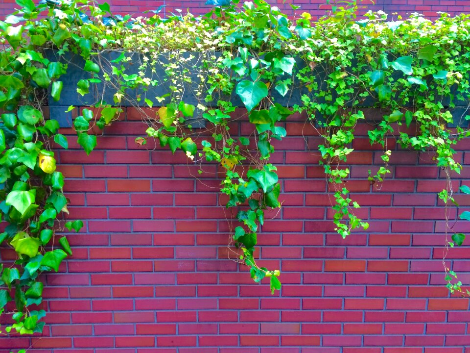Wall aoyama minami-aoyama
