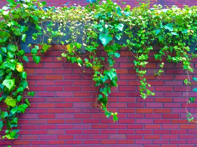 Wall aoyama minami-aoyama