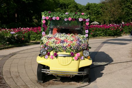 Car festival nature