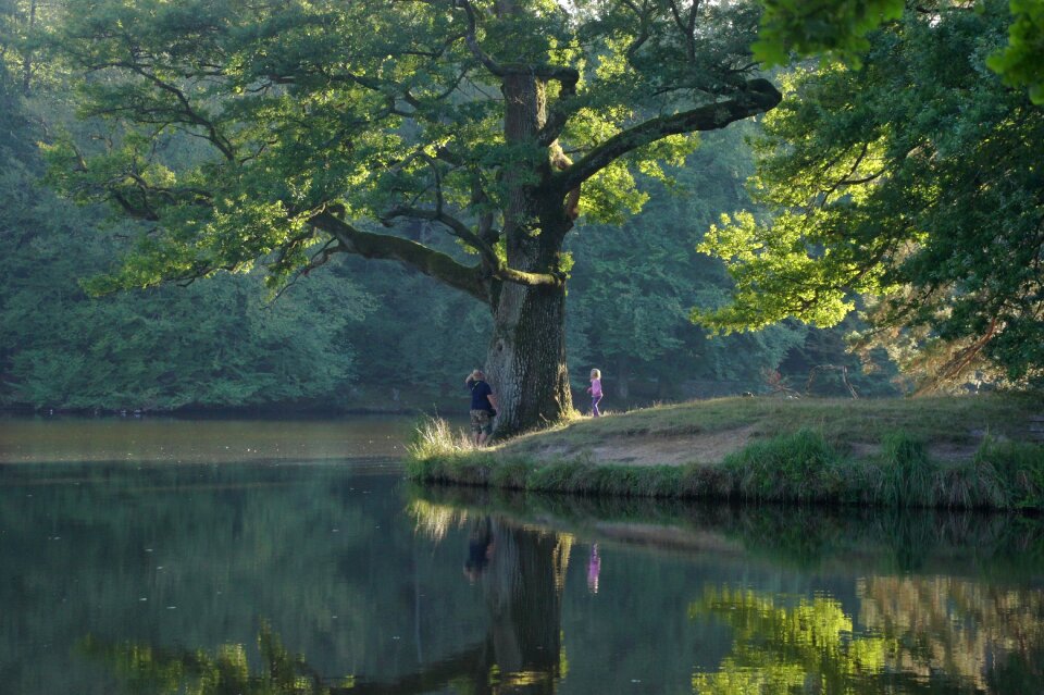 Light water mirroring