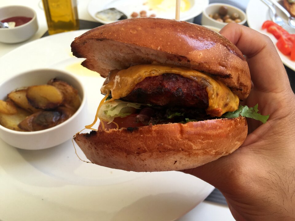 Food brown burger