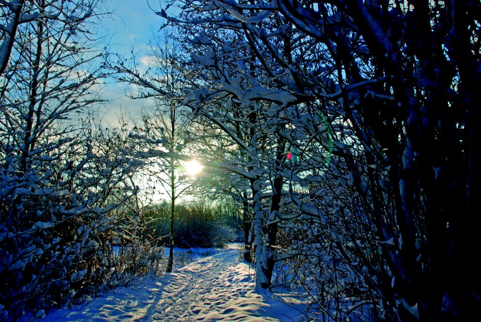 Cold ice sky photo