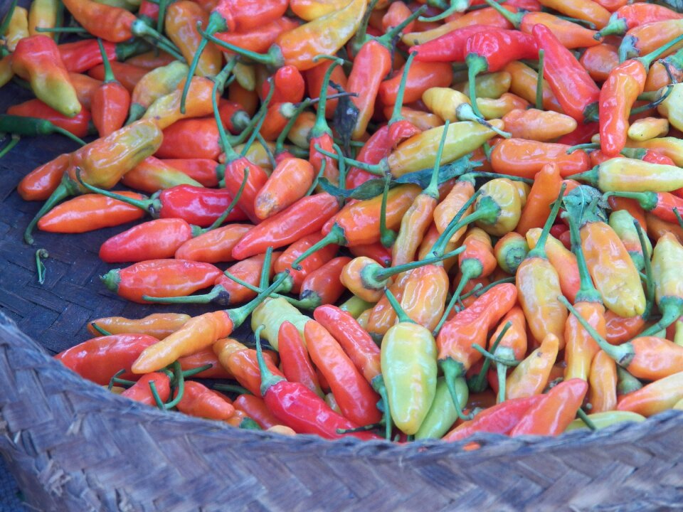 Red market asia