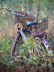 Basket finnish evening photo