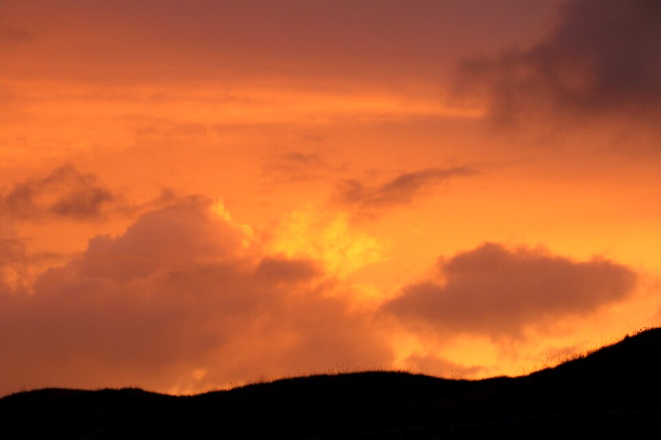 Brand orange nature