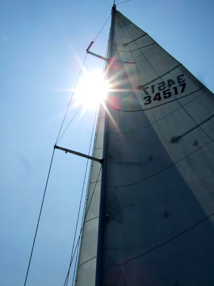 Sailboat summer water