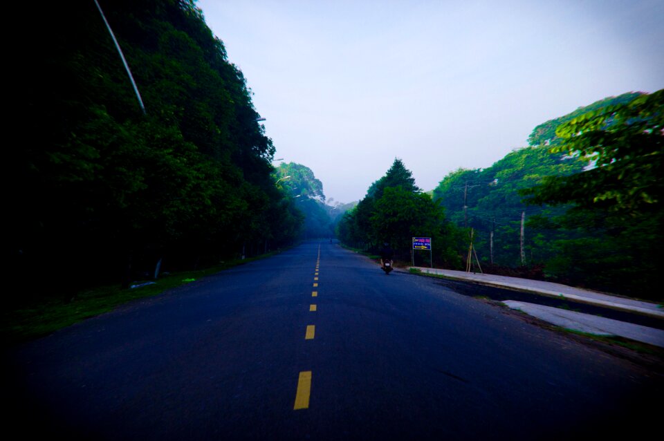 Vietnam fog forest
