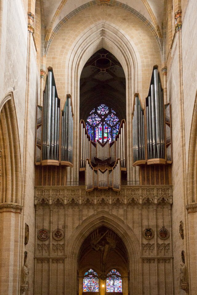 Ulm cathedral münster organ