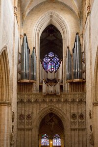 Ulm cathedral münster organ photo