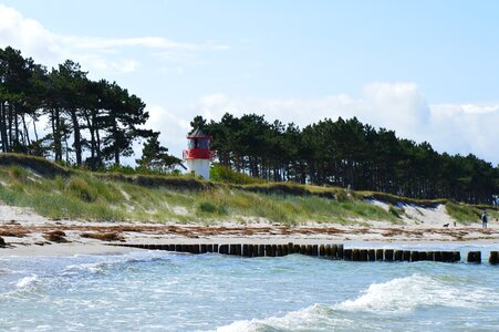 Wave lighthouse pine photo