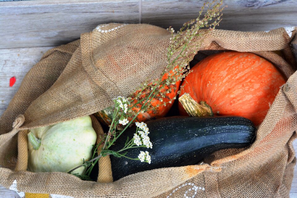 Collections vegetables eating