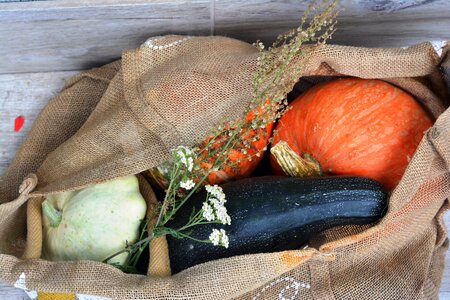 Collections vegetables eating