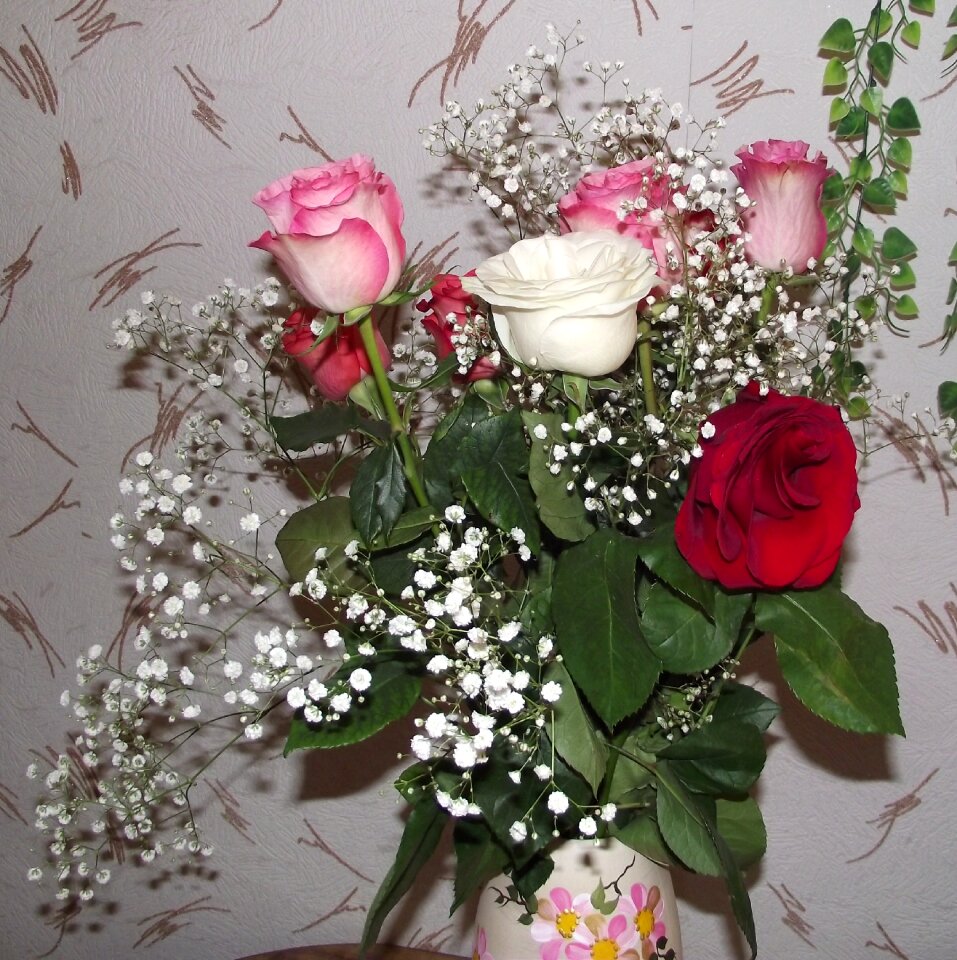 Beautiful flowers red rose red roses