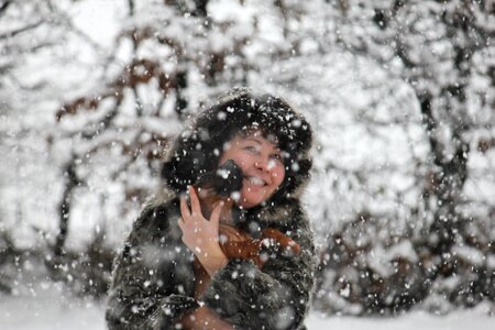 Domestic animals winter darling photo