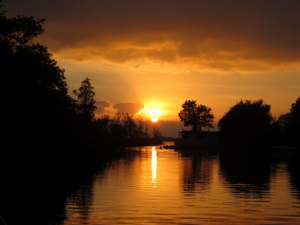Sunset trees loosdrecht